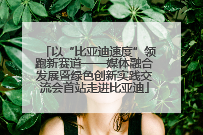 以“比亚迪速度”领跑新赛道——媒体融合发展暨绿色创新实践交流会首站走进比亚迪