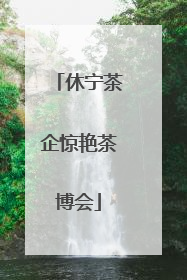 休宁茶企惊艳茶博会