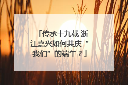 传承十九载 浙江嘉兴如何共庆“我们”的端午？