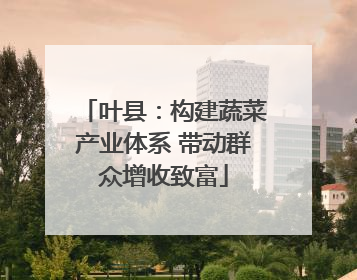 叶县：构建蔬菜产业体系 带动群众增收致富