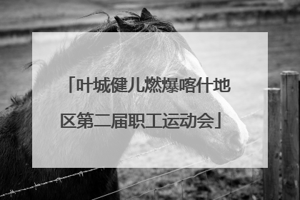 叶城健儿燃爆喀什地区第二届职工运动会