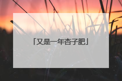 又是一年杏子肥