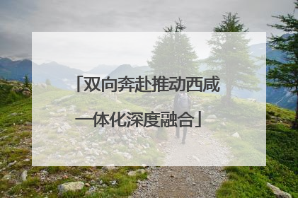 双向奔赴推动西咸一体化深度融合