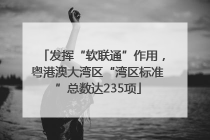 发挥“软联通”作用，粤港澳大湾区“湾区标准”总数达235项