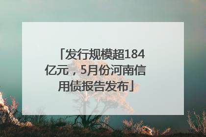 发行规模超184亿元，5月份河南信用债报告发布