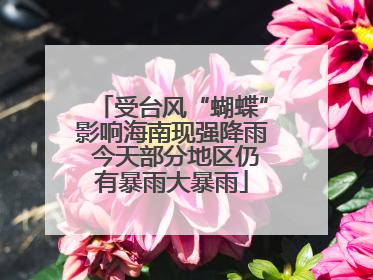 受台风“蝴蝶”影响海南现强降雨 今天部分地区仍有暴雨大暴雨