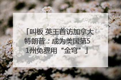 叫板 英王首访加拿大 特朗普：成为美国第51州免费用“金穹”