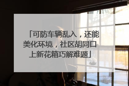 可防车辆乱入，还能美化环境，社区胡同口上新花箱巧解难题