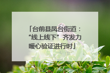 台前县凤台街道：“线上线下”齐发力 暖心验证进行时