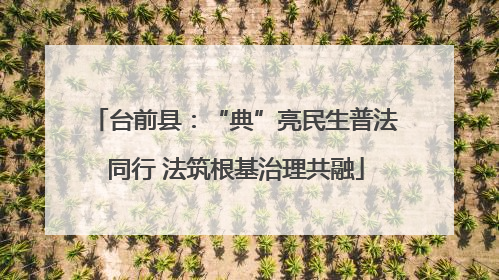 台前县：“典”亮民生普法同行 法筑根基治理共融