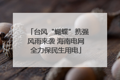 台风“蝴蝶”携强风雨来袭 海南电网全力保民生用电