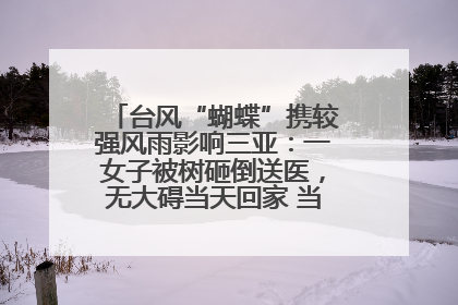 台风“蝴蝶”携较强风雨影响三亚：一女子被树砸倒送医，无大碍当天回家 当地已紧急清障