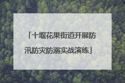 十堰花果街道开展防汛防灾防溺实战演练