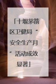 十堰茅箭区卫健局“安全生产月”活动成效显著