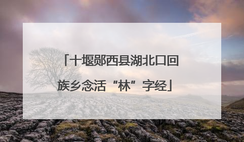 十堰郧西县湖北口回族乡念活“林”字经