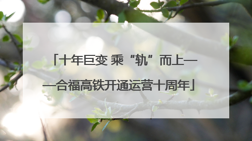 十年巨变 乘“轨”而上——合福高铁开通运营十周年