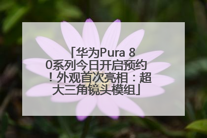 华为Pura 80系列今日开启预约！外观首次亮相：超大三角镜头模组