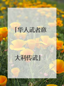 华人武者意大利传武
