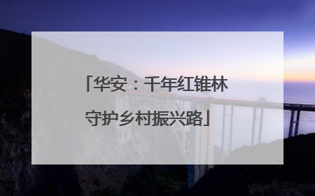 华安：千年红锥林守护乡村振兴路