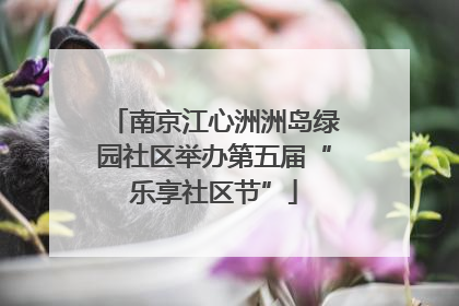 南京江心洲洲岛绿园社区举办第五届“乐享社区节”