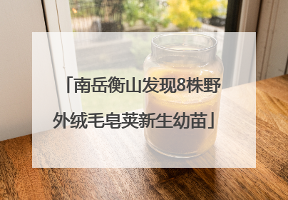 南岳衡山发现8株野外绒毛皂荚新生幼苗