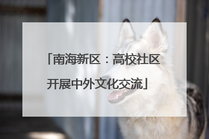 南海新区：高校社区开展中外文化交流