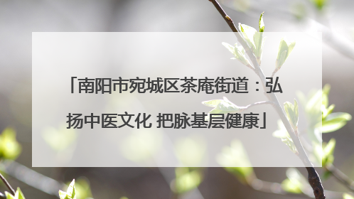 南阳市宛城区茶庵街道：弘扬中医文化 把脉基层健康