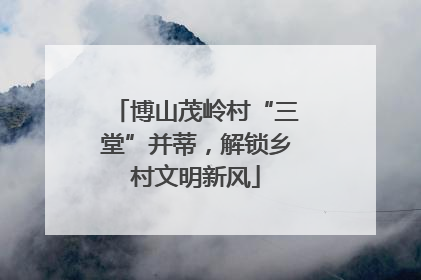 博山茂岭村“三堂”并蒂，解锁乡村文明新风