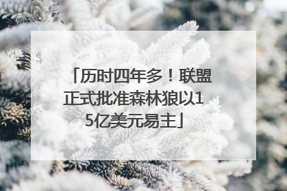 历时四年多！联盟正式批准森林狼以15亿美元易主