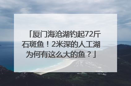 厦门海沧湖钓起72斤石斑鱼！2米深的人工湖为何有这么大的鱼？