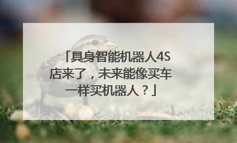 具身智能机器人4S店来了，未来能像买车一样买机器人？