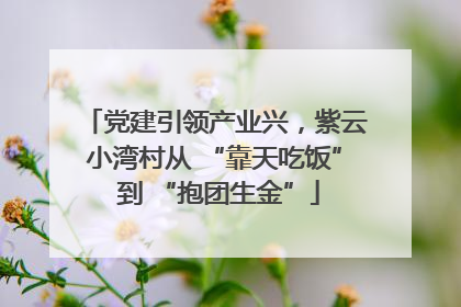 党建引领产业兴，紫云小湾村从 “靠天吃饭” 到 “抱团生金”