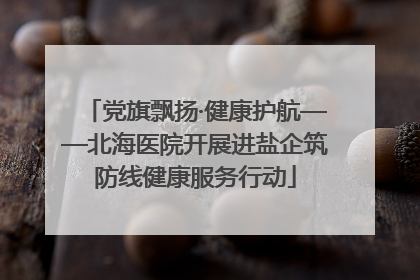 党旗飘扬·健康护航——北海医院开展进盐企筑防线健康服务行动