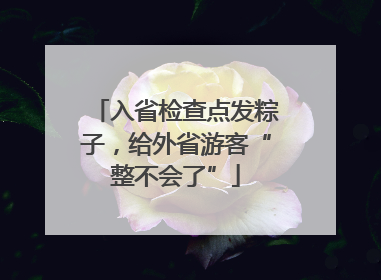 入省检查点发粽子，给外省游客“整不会了”