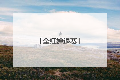 全红婵退赛