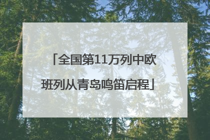 全国第11万列中欧班列从青岛鸣笛启程