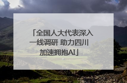 全国人大代表深入一线调研 助力四川加速拥抱AI