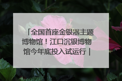 全国首座金银器主题博物馆！江口沉银博物馆今年底投入试运行｜万千气象看四川