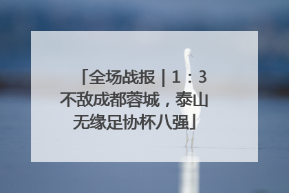 全场战报｜1：3不敌成都蓉城，泰山无缘足协杯八强