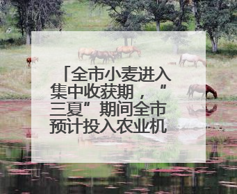 全市小麦进入集中收获期，“三夏”期间全市预计投入农业机械18万台（套）