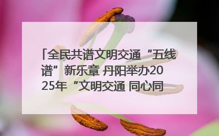 全民共谱文明交通“五线谱”新乐章 丹阳举办2025年“文明交通 同心同行”主题宣传活动