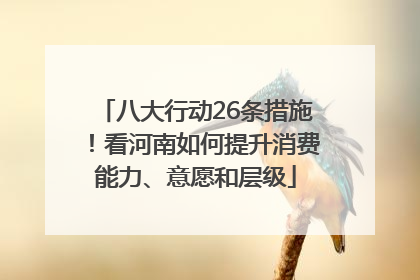 八大行动26条措施！看河南如何提升消费能力、意愿和层级