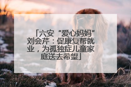 六安“爱心妈妈”刘会芹：促康复帮就业，为孤独症儿童家庭送去希望
