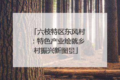 六枝特区东风村：特色产业绘就乡村振兴新图景