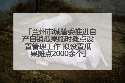 兰州市城管委推进自产自销瓜果临时摊点设置管理工作 拟设置瓜果摊点2000余个