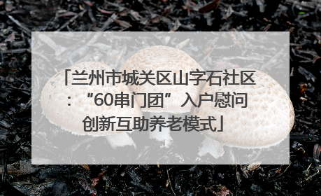 兰州市城关区山字石社区：“60串门团”入户慰问 创新互助养老模式