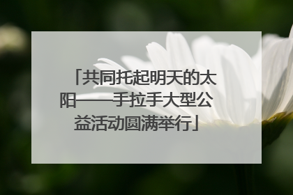 共同托起明天的太阳——手拉手大型公益活动圆满举行