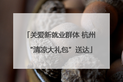 关爱新就业群体 杭州“清凉大礼包”送达