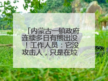 内蒙古一镇政府连续多日有熊出没！工作人员：它没攻击人，只是在垃圾桶翻找食物