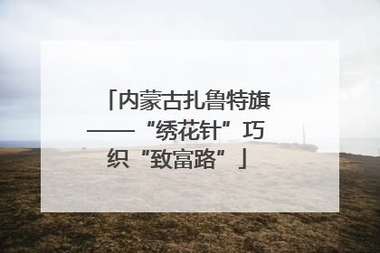 内蒙古扎鲁特旗——“绣花针”巧织“致富路”